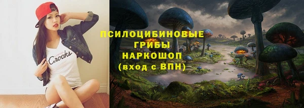 дживик Алексин