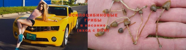 дживик Алексин