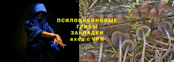 твердый Алексеевка