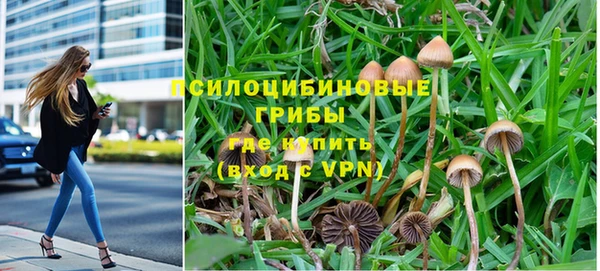 твердый Алексеевка