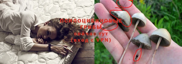 твердый Алексеевка