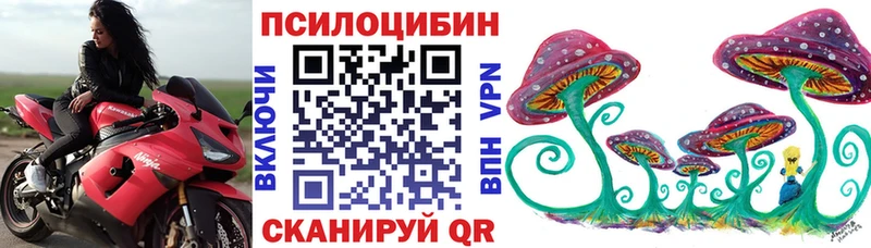 наркотики  Сочи  Псилоцибиновые грибы прущие грибы 